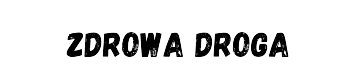 Zdrowa Droga Logo