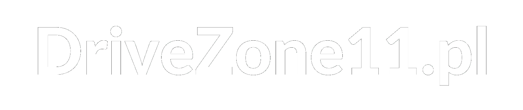 DriveZone11 Logo