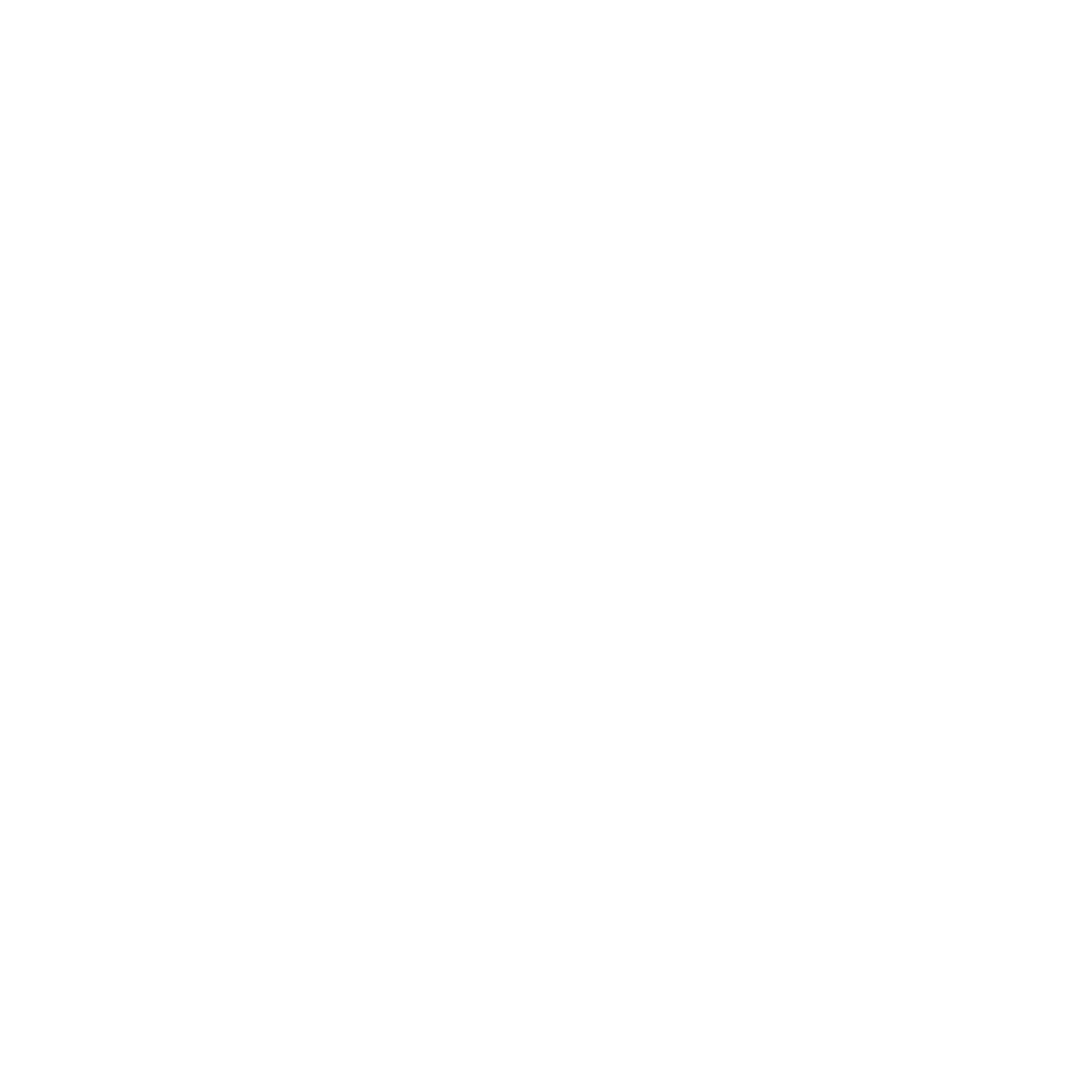 Neva Store Logo